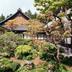 屋外の景色