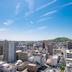 屋外の景色