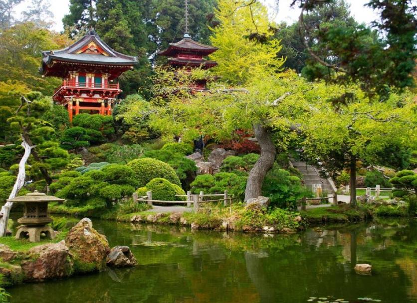 屋外の景色 写真