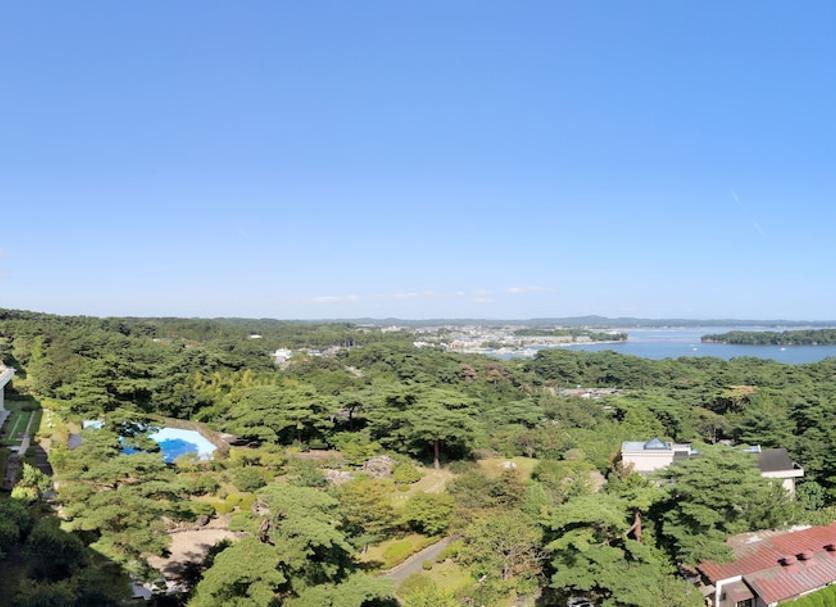 屋外の景色 写真