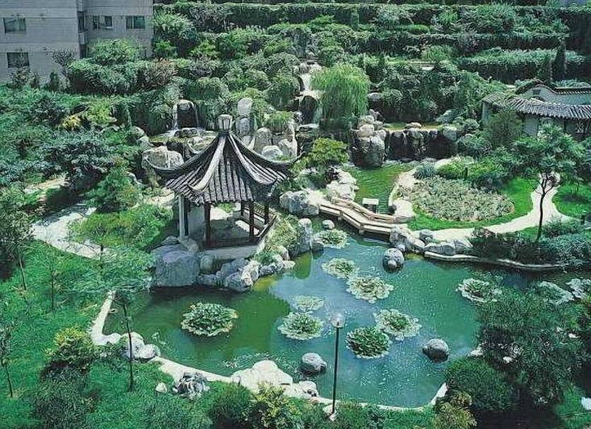 屋外の景色 写真