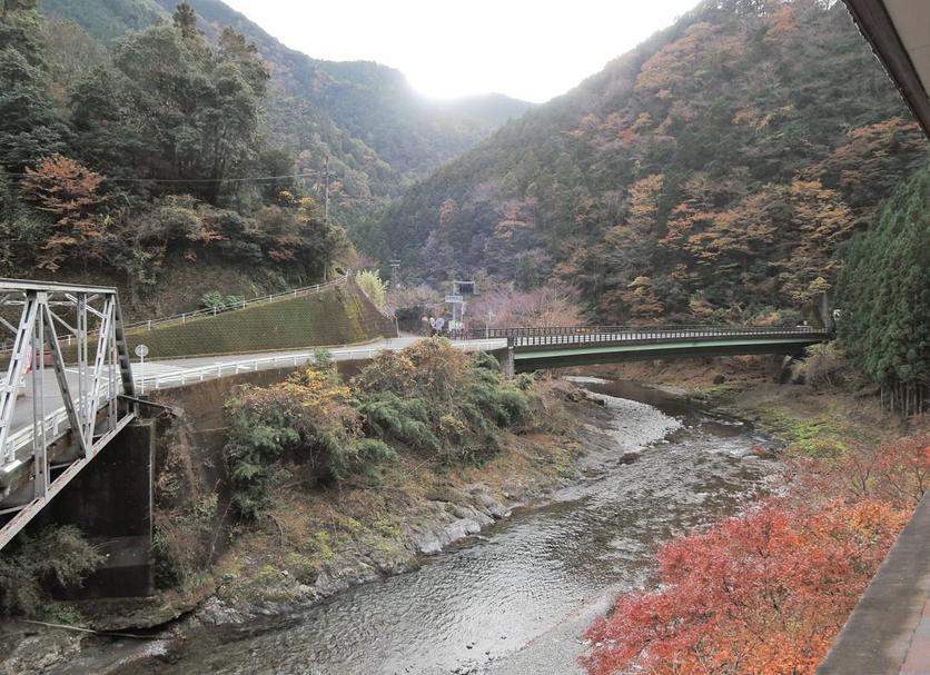 屋外の景色 写真