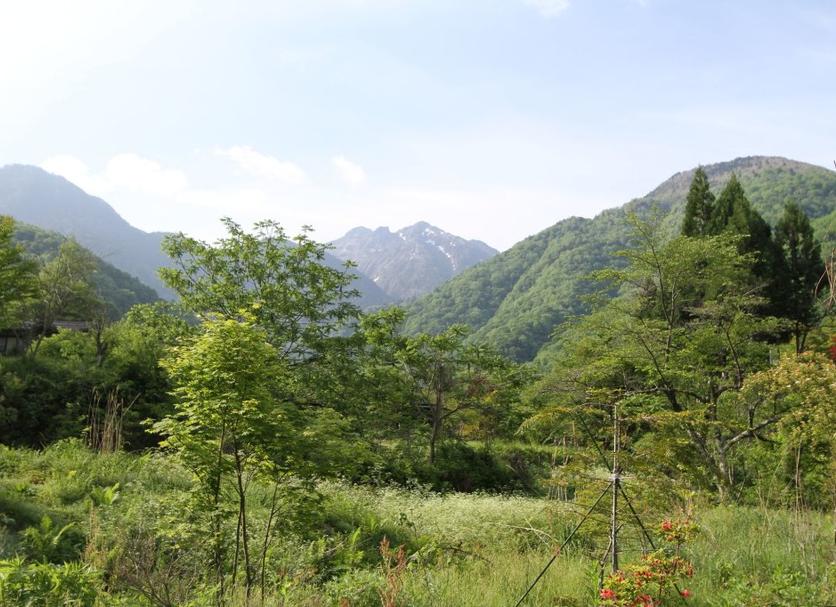 屋外の景色 写真
