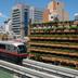 屋外の景色