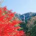 屋外の景色