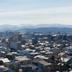 屋外の景色