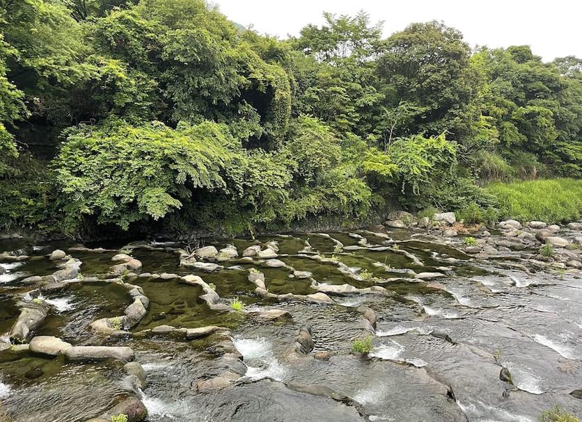 屋外の景色 写真