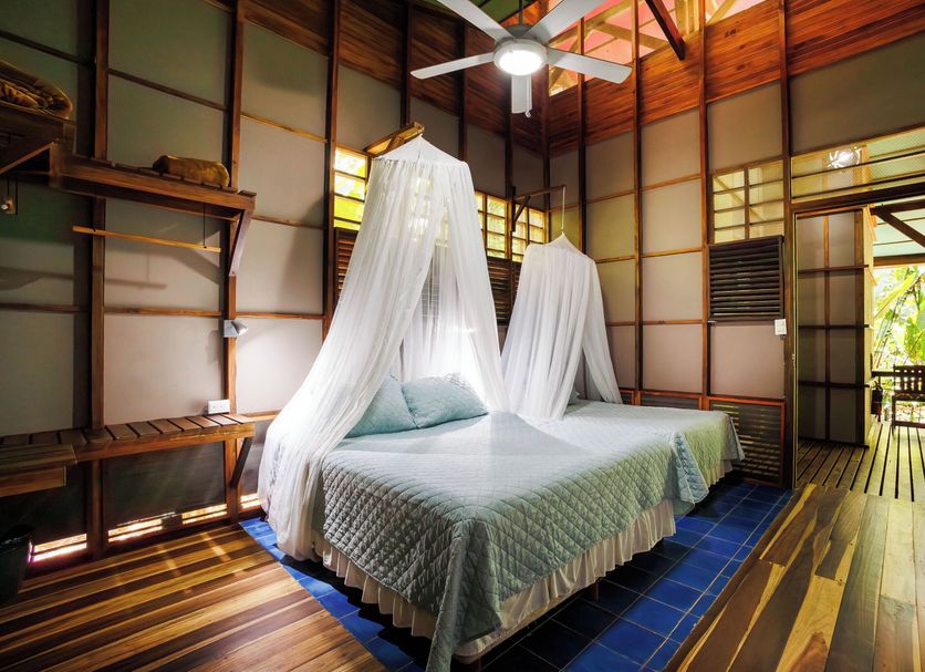 その他 写真
