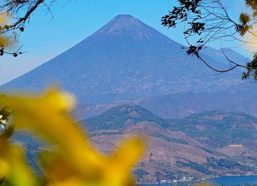 屋外の景色 写真