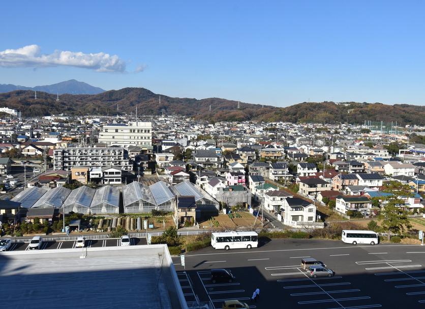 屋外の景色 写真