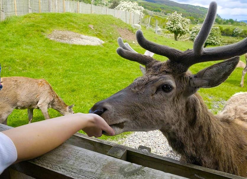 その他 写真
