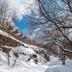 屋外の景色