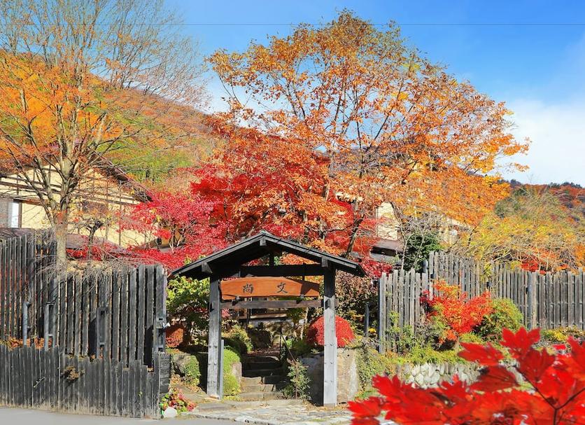 屋外の景色 写真