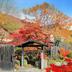 屋外の景色