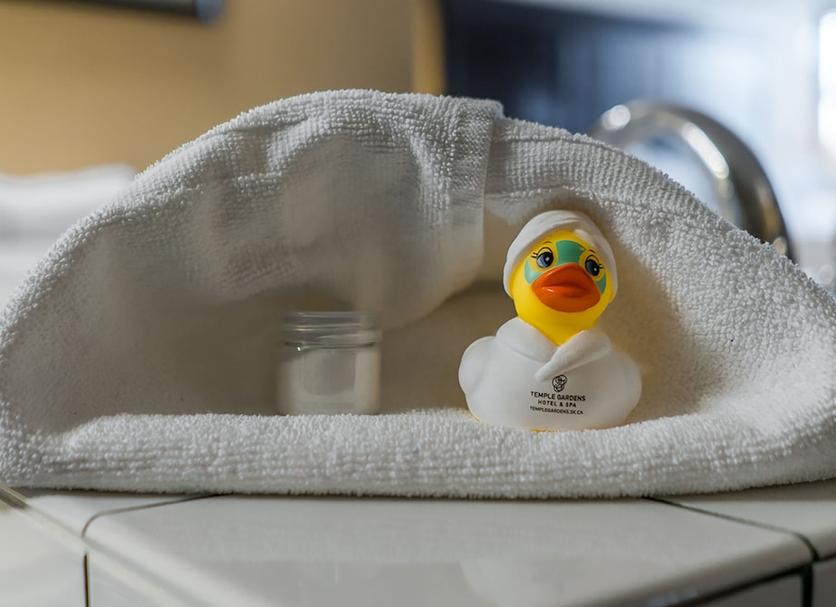 客室の設備 写真