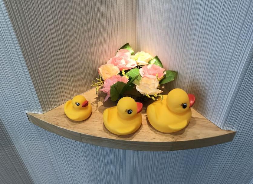 客室の設備 写真