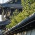 屋外の景色