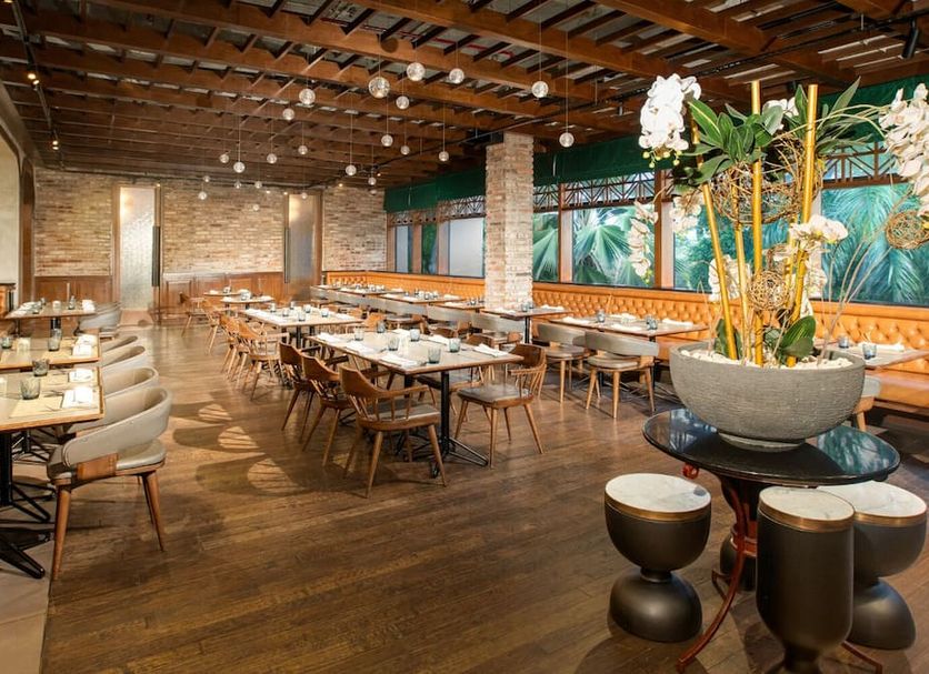 レストラン 写真