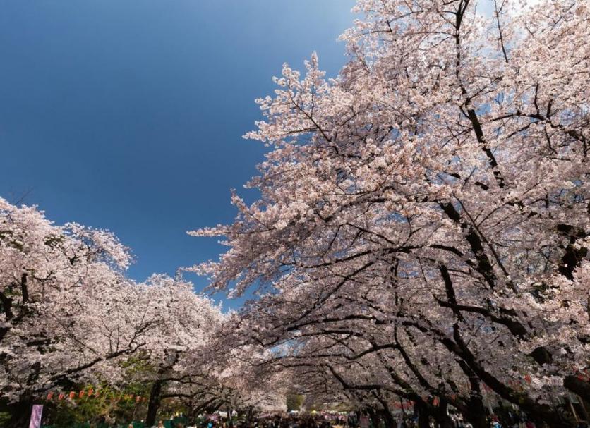 屋外の景色 写真