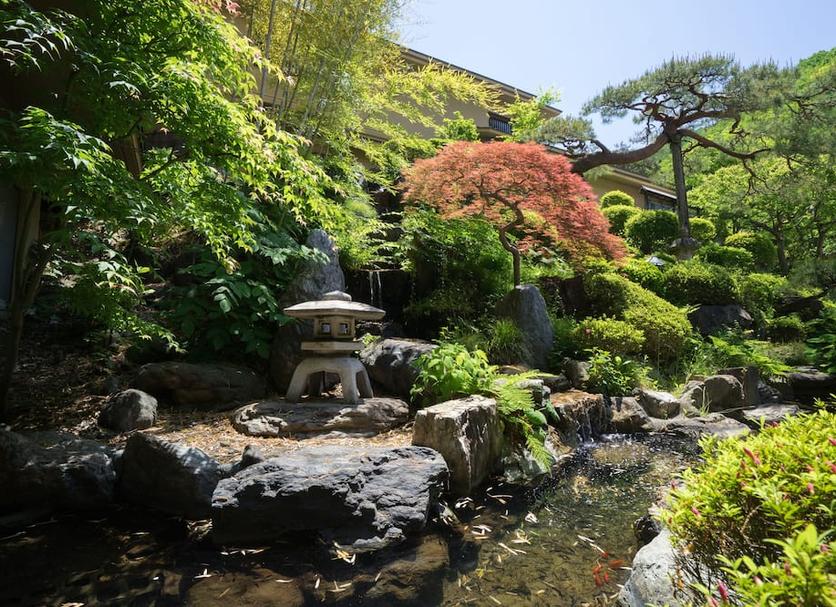 屋外の景色 写真