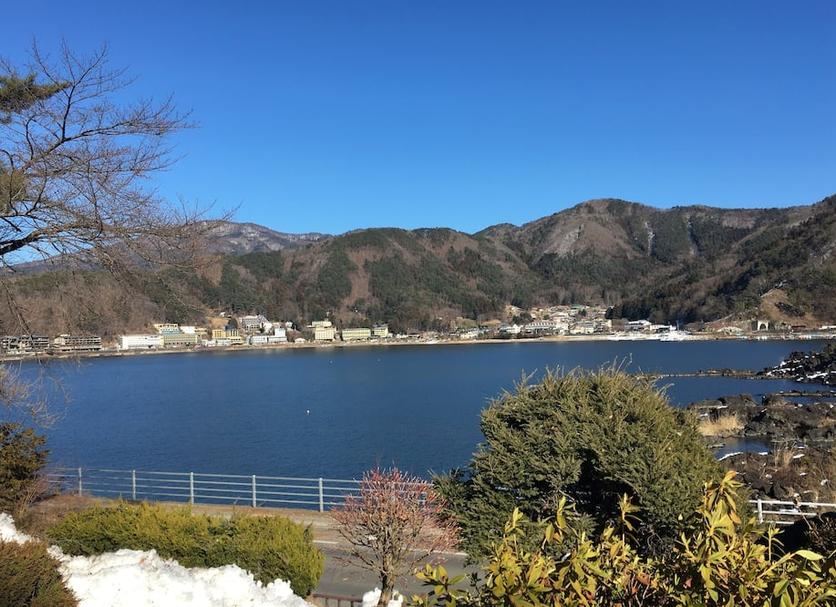 屋外の景色 写真