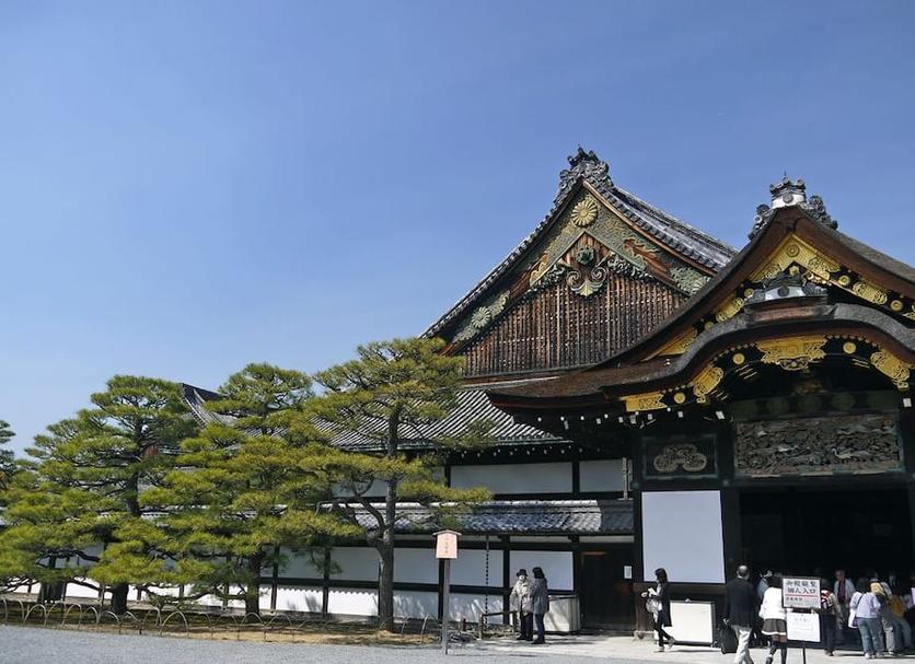 屋外の景色 写真