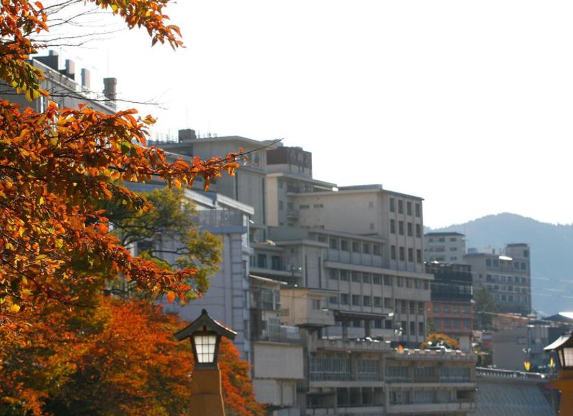 屋外の景色 写真
