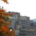 屋外の景色