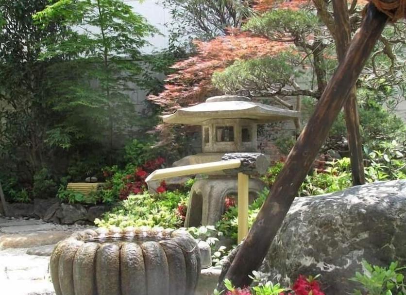 屋外の景色 写真