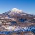 屋外の景色