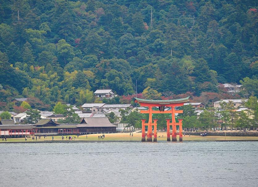 その他 写真