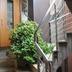 屋外の景色