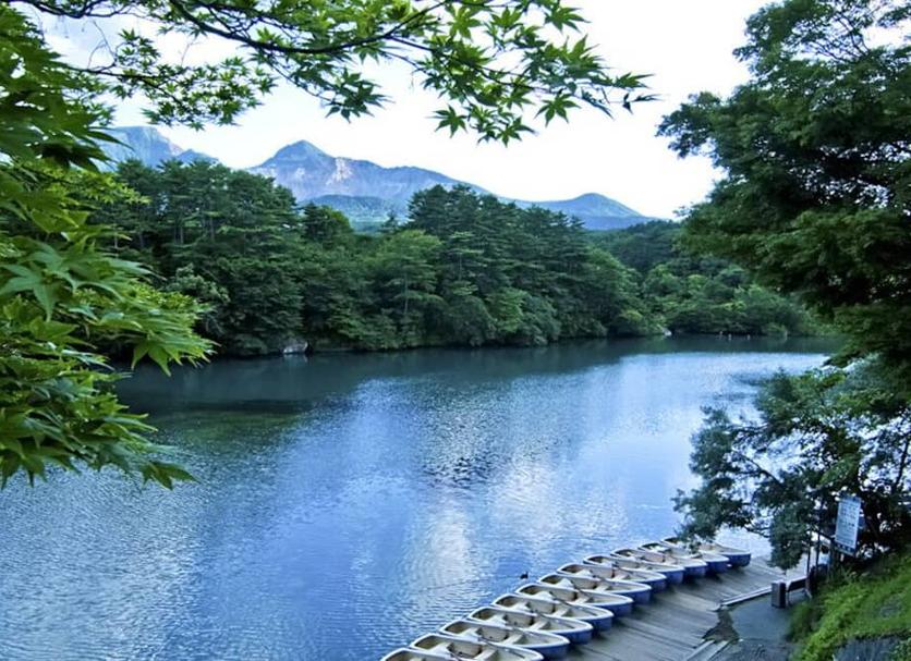 屋外の景色 写真