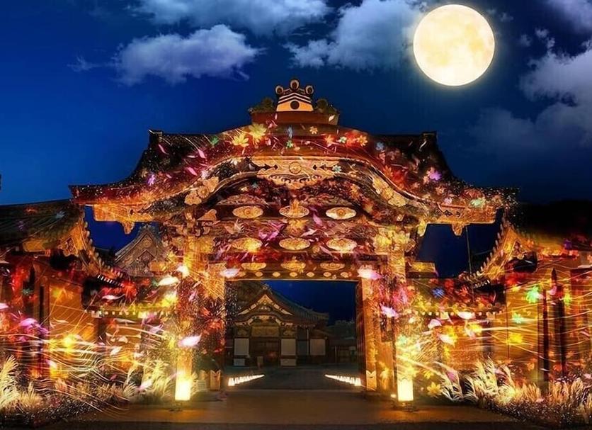 その他 写真