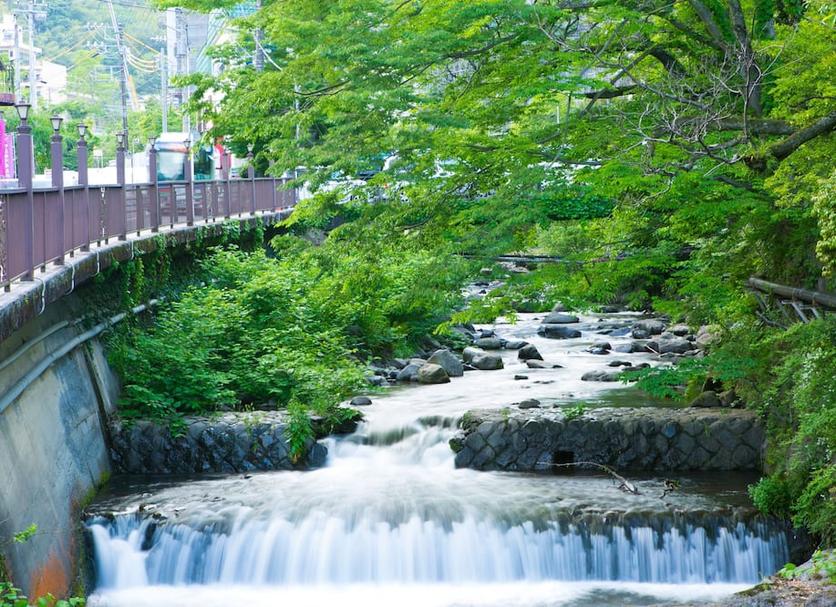 屋外の景色 写真