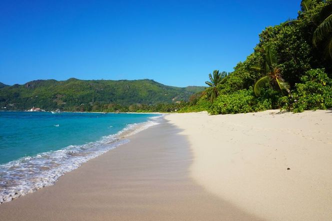 ラ ヴィラ テレーズ