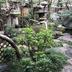 屋外の景色