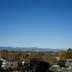 屋外の景色