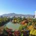 屋外の景色