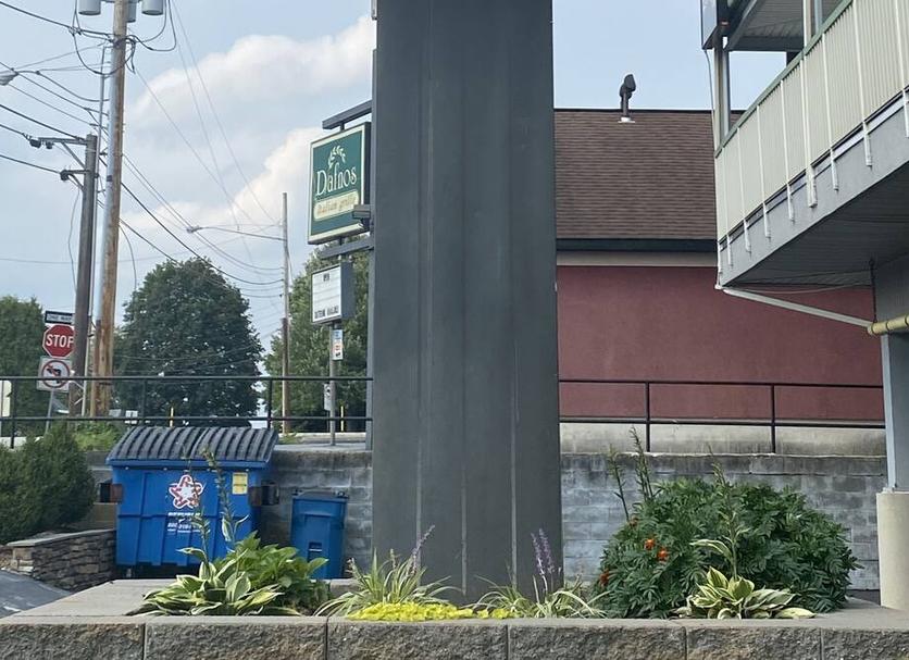 屋外の景色 写真