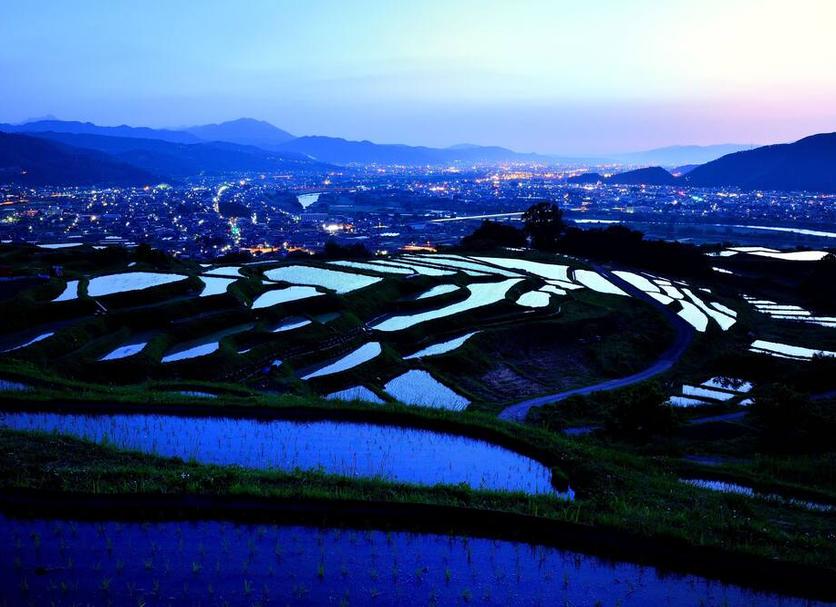 屋外の景色 写真