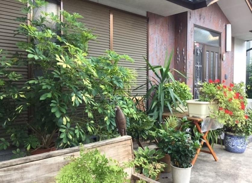 屋外の景色 写真