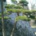 屋外の景色