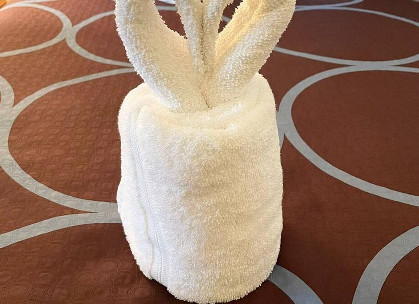 客室の設備 写真