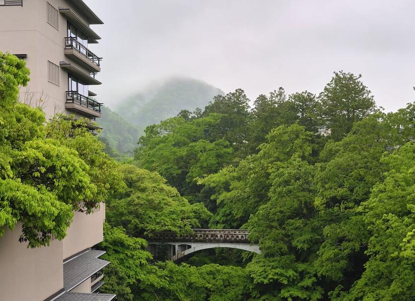 屋外の景色 写真