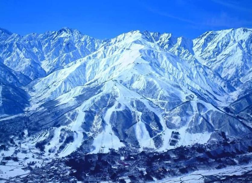 屋外の景色 写真