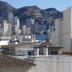 屋外の景色