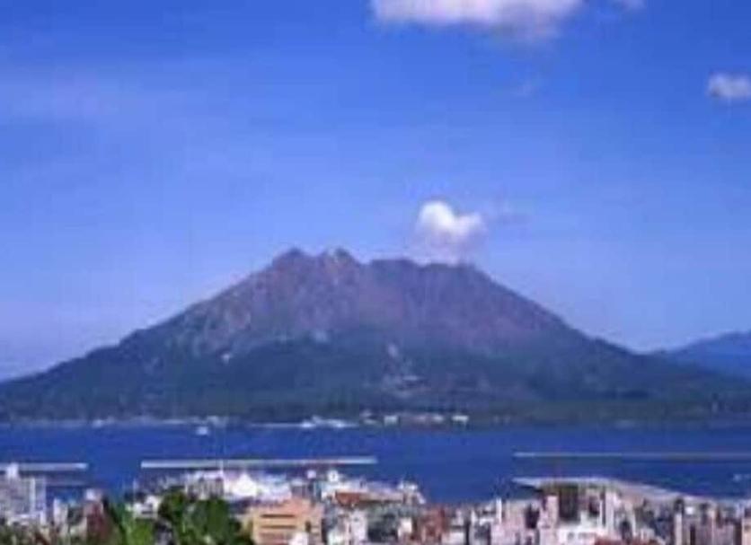 屋外の景色 写真