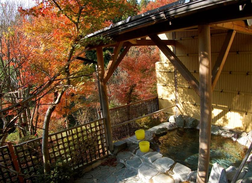 屋外の景色 写真