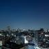 屋外の景色